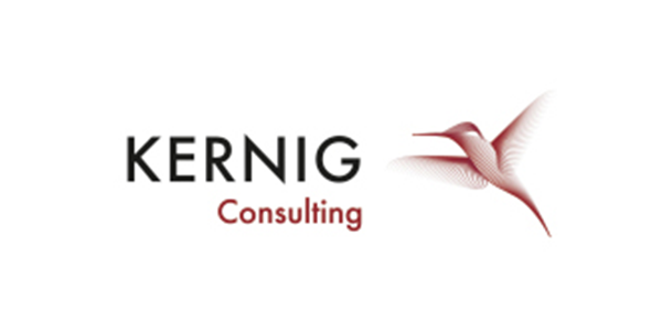 Kernig Consulting